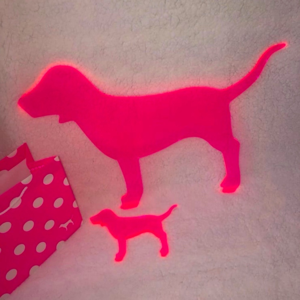 RARE Victoria’s Secret Pink Plexi Glass Dogs Display Prop Pups